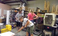 Missouri Dogs Arrive at Headin' Home Pet Rescue 20