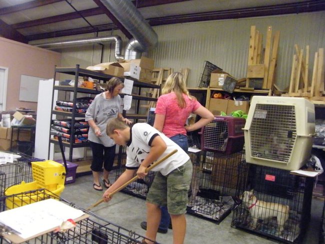 Missouri Dogs Arrive at Headin' Home Pet Rescue