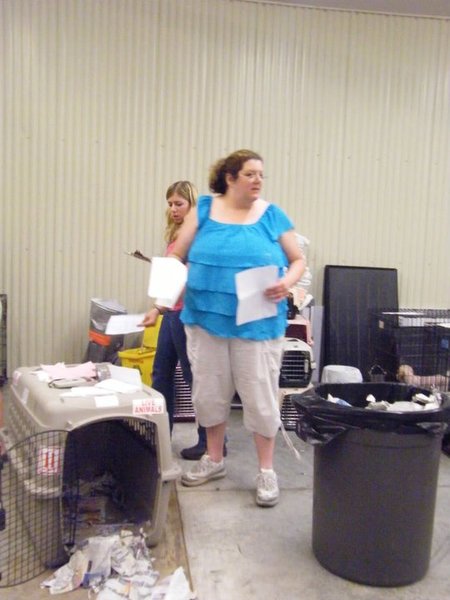 Missouri Dogs Arrive at Headin' Home Pet Rescue