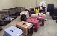 Missouri Dogs Arrive at Headin' Home Pet Rescue 24