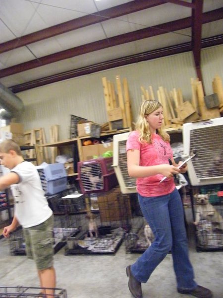Missouri Dogs Arrive at Headin' Home Pet Rescue