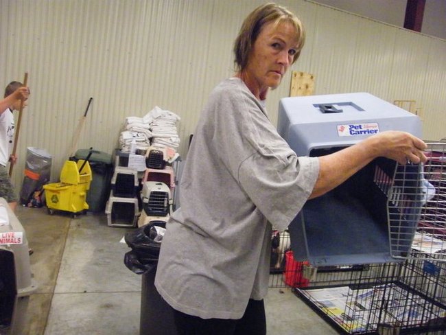 Missouri Dogs Arrive at Headin' Home Pet Rescue