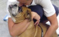 Missouri Dogs Arrive at Headin' Home Pet Rescue 15