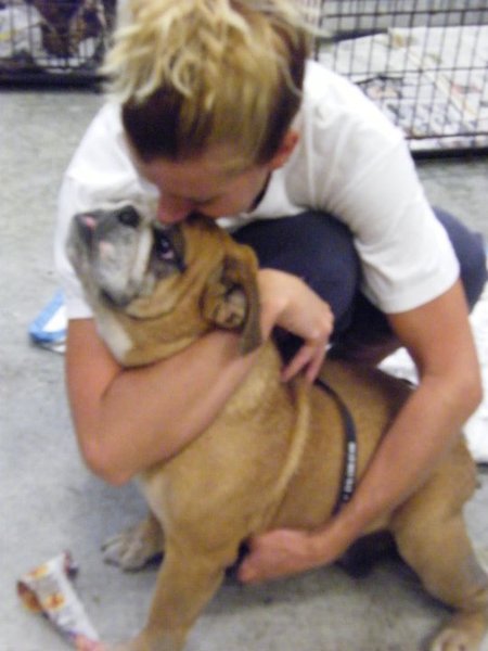 Missouri Dogs Arrive at Headin' Home Pet Rescue