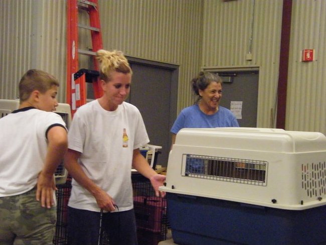 Missouri Dogs Arrive at Headin' Home Pet Rescue