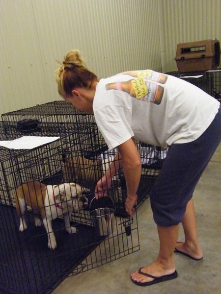 Missouri Dogs Arrive at Headin' Home Pet Rescue