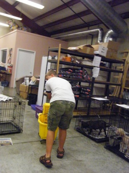 Missouri Dogs Arrive at Headin' Home Pet Rescue