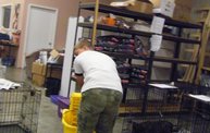Missouri Dogs Arrive at Headin' Home Pet Rescue 6