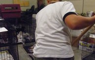 Missouri Dogs Arrive at Headin' Home Pet Rescue 27