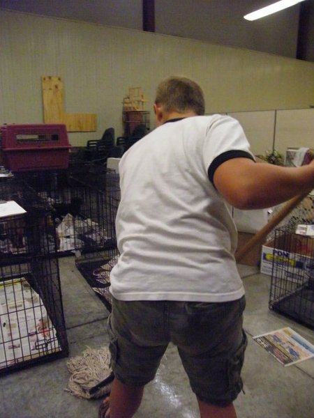 Missouri Dogs Arrive at Headin' Home Pet Rescue