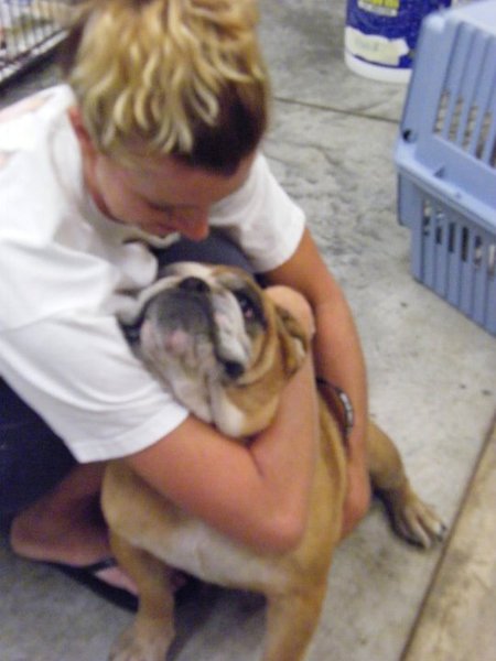 Missouri Dogs Arrive at Headin' Home Pet Rescue