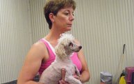 Missouri Dogs Arrive at Headin' Home Pet Rescue 19
