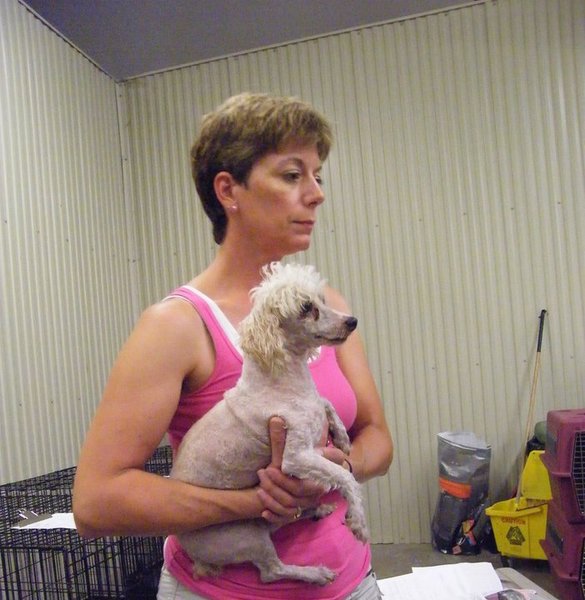 Missouri Dogs Arrive at Headin' Home Pet Rescue