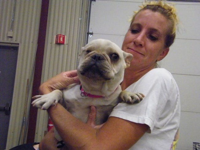 Missouri Dogs Arrive at Headin' Home Pet Rescue