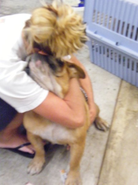 Missouri Dogs Arrive at Headin' Home Pet Rescue