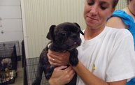 Missouri Dogs Arrive at Headin' Home Pet Rescue 13