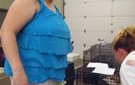 Missouri Dogs Arrive at Headin' Home Pet Rescue 29