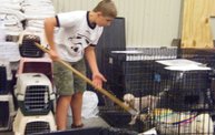 Missouri Dogs Arrive at Headin' Home Pet Rescue 3