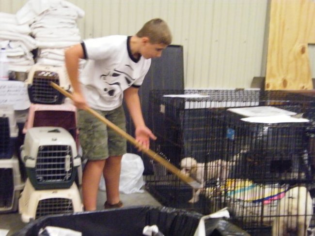 Missouri Dogs Arrive at Headin' Home Pet Rescue