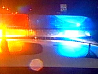 Police lights (properly sized)