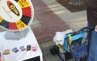 Q106 & McDonald's at the Cruise In Car Show in Jackson (8/26/11) 10