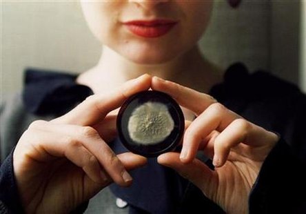 A sample of the original penicillin mould cultivated by scientific pioneer Alexander Fleming, which .. A sample of the original penicillin mould cultivated by scientific pioneer Alexander Fleming, which ..