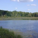 McDill Pond McDill Pond