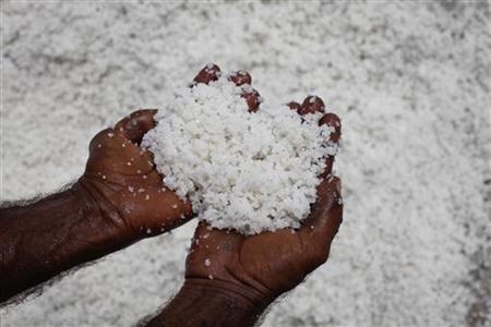 A man holds sea salt harvested from a salt field in Sandspit A man holds sea salt harvested from a salt field in Sandspit
