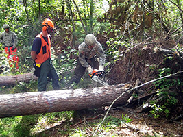 National Guard helps in storm cleanup National Guard helps in storm cleanup