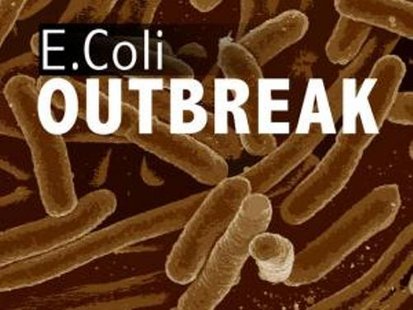 E Coli E Coli