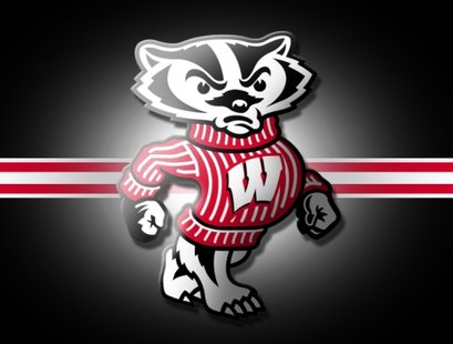 Badger Team