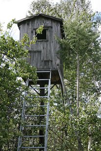 Tree Stand Tree Stand