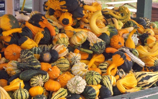 WSAU at Wilke's Farm and Corn Maze 9/17/2011