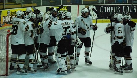 WMU Hockey Team WMU Hockey Team