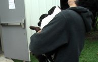Missouri Dogs Arrive at Headin' Home Pet Rescue 3