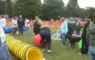 Capital Area Humane Society Run and Walk For The Animals 2011! 13