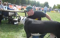 Capital Area Humane Society Run and Walk For The Animals 2011! 4