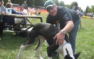 Capital Area Humane Society Run and Walk For The Animals 2011! 3