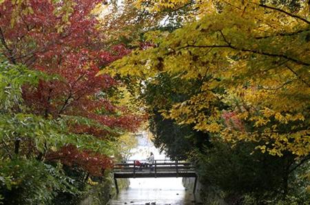 A woman pushes a baby stroller as she crosses a bridge during sunny autumn weather at a public park in Zurich A woman pushes a baby stroller as she crosses a bridge during sunny autumn weather at a public park in Zurich