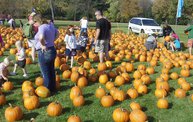 Harvestfest 2011 4