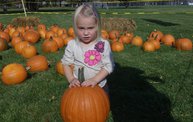 Harvestfest 2011 2