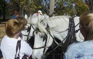 Harvestfest 2011 21