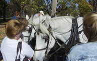 Harvestfest 2011 21