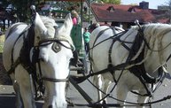Harvest Fest 2011 19