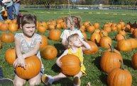 Harvestfest 2011 13