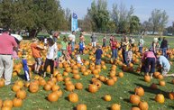 Harvestfest 2011 9