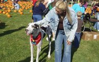 Harvest Fest 2011 9