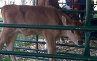 Harvest Fest 2011 4