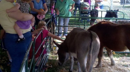 Harvest Fest 2011 at Oak Island Park in Wausau