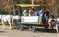 Harvest Fest 2011 2